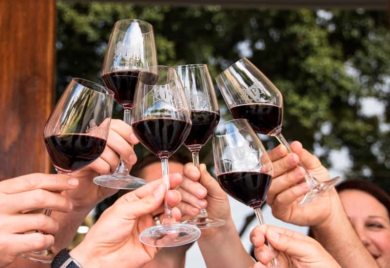 Degustação de vinhos e passeio em Perdeberg