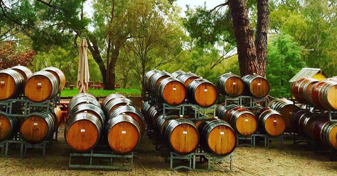 Weinprobe und Führung bei Pfeiffer Wines