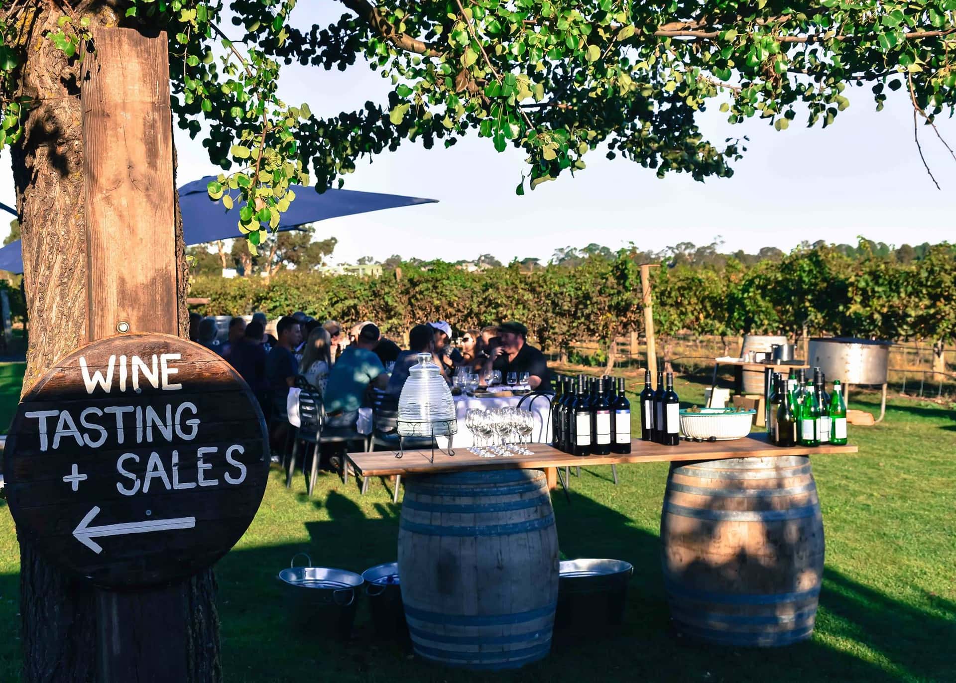 Vinprovning och rundtur på Raidis Estate Coonawarra