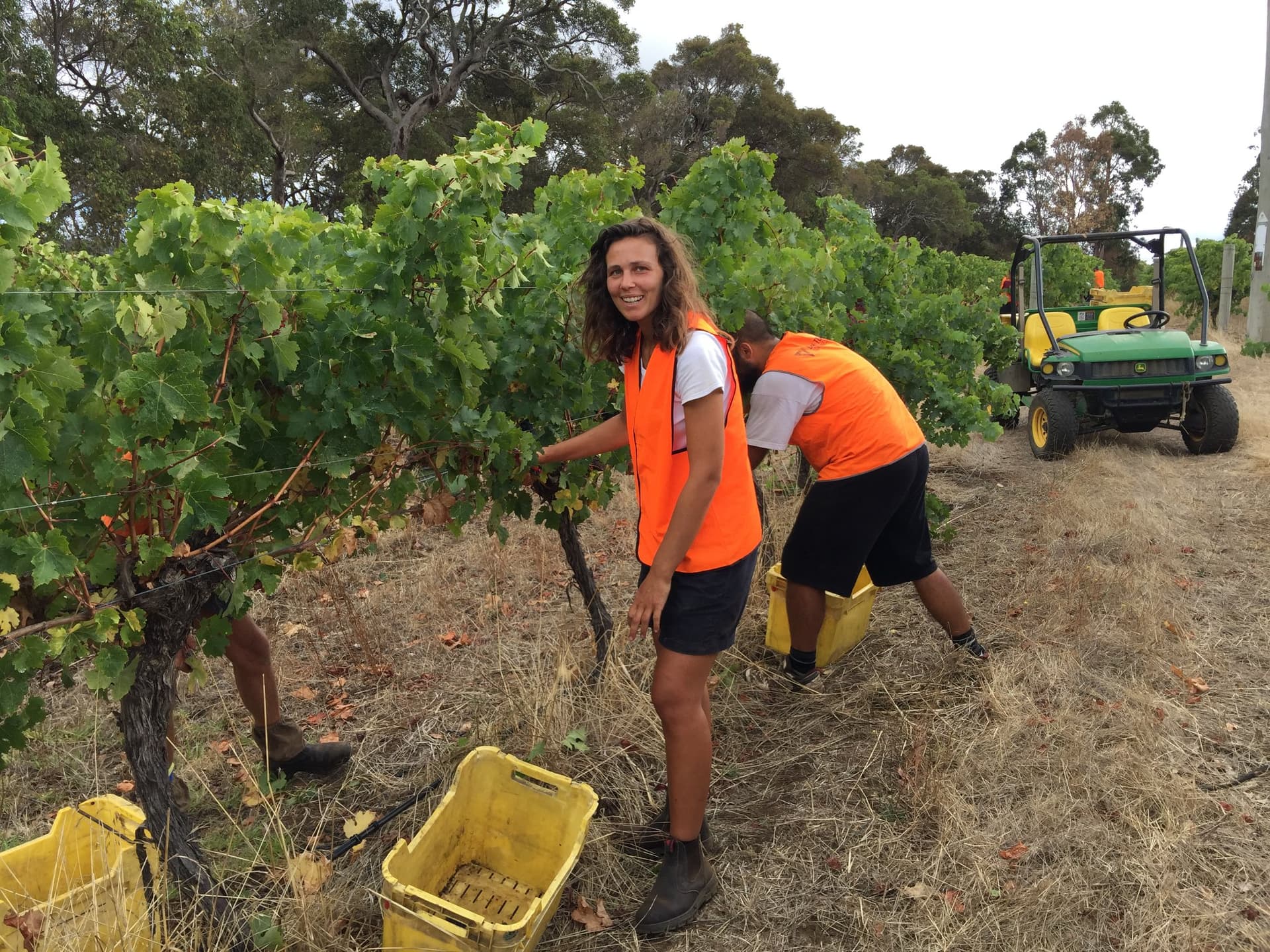 Wine Tasting and Tour at Stormflower Vineyard