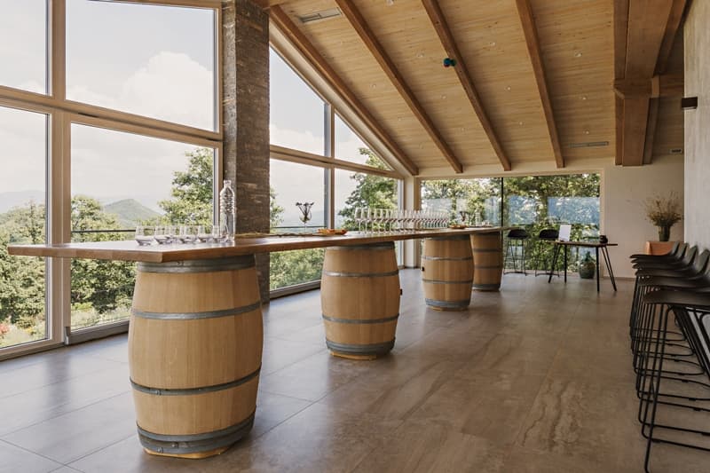Dégustation de vins et visite à Sveti Martin