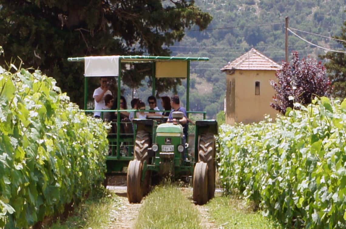 Cata de vinos y visita guiada a la bodega Troupis
