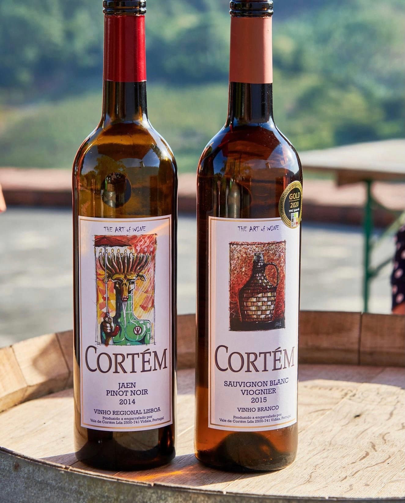 Vinhos Cortém : visite du vignoble et dégustation de 6 vins avec collations