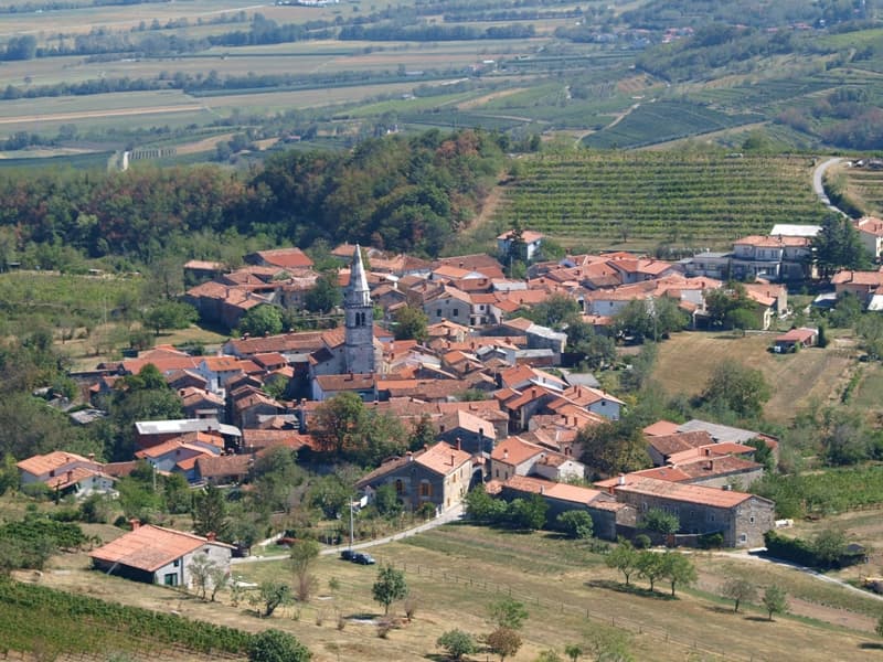 Vina Povh Winery foto 1