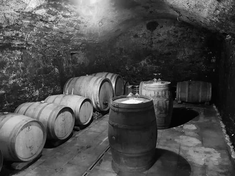 Dégustation de vins et visite à Vina Povh