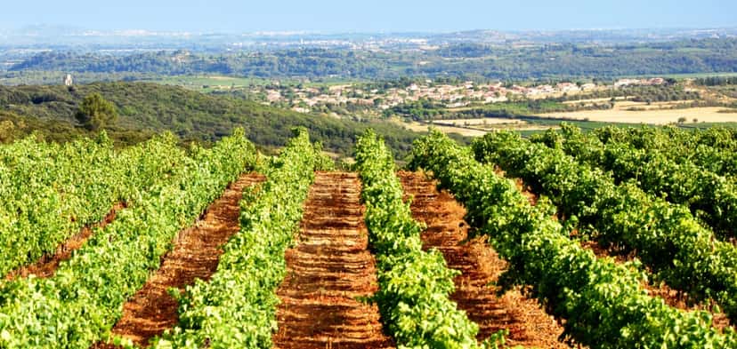 Chateau La Negly