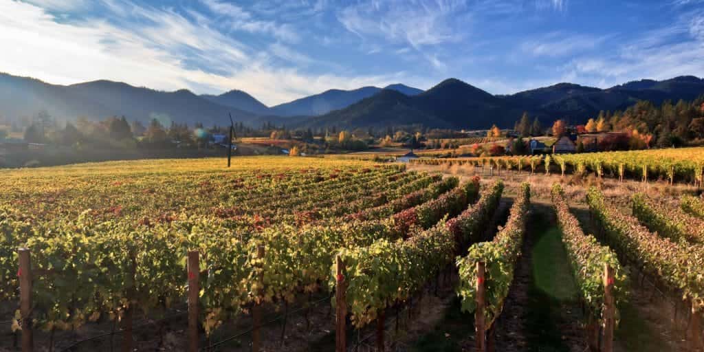 Wine region landscape
