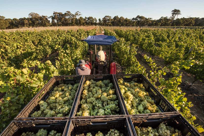 Voyager Estate