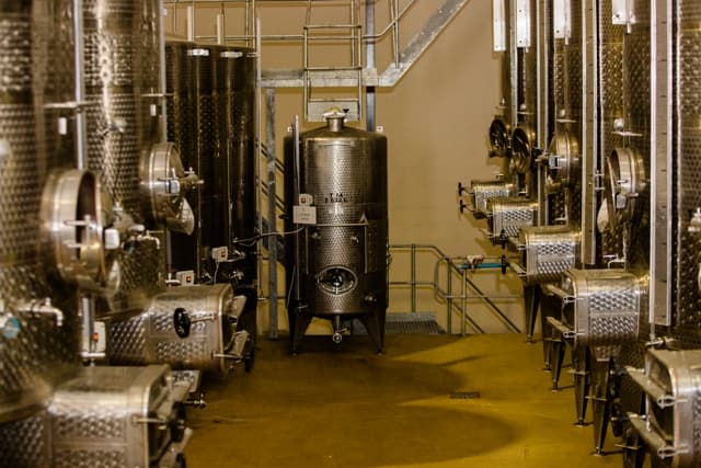 Waverley Hills Organic Wine Farm photo 1