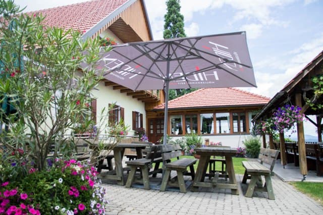 Weingut Hiden