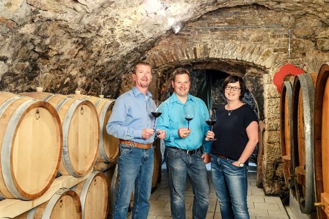 Wine Tasting and Tour at Weingut Höfling