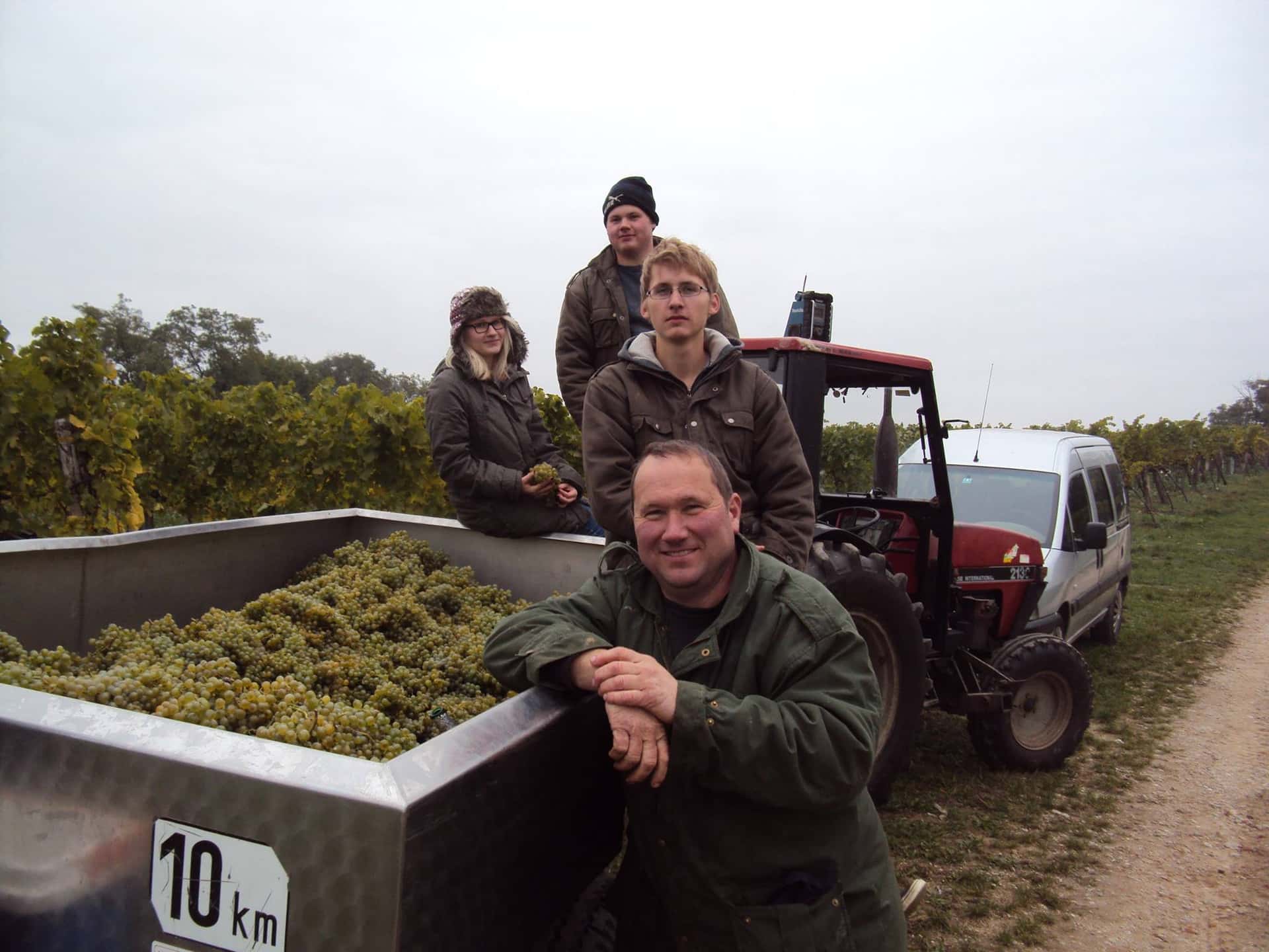 Visita e degustazione di vini presso Weingut Roman Schödl
