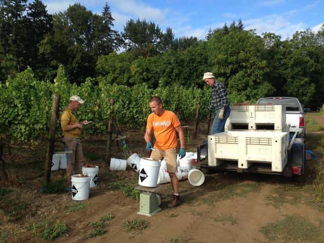 Hanson Vineyards