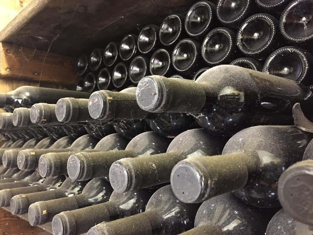 Degustação de vinhos e tour na Zaro Wines