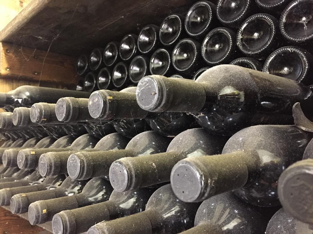 Degustação de vinhos e tour na Zaro Wines