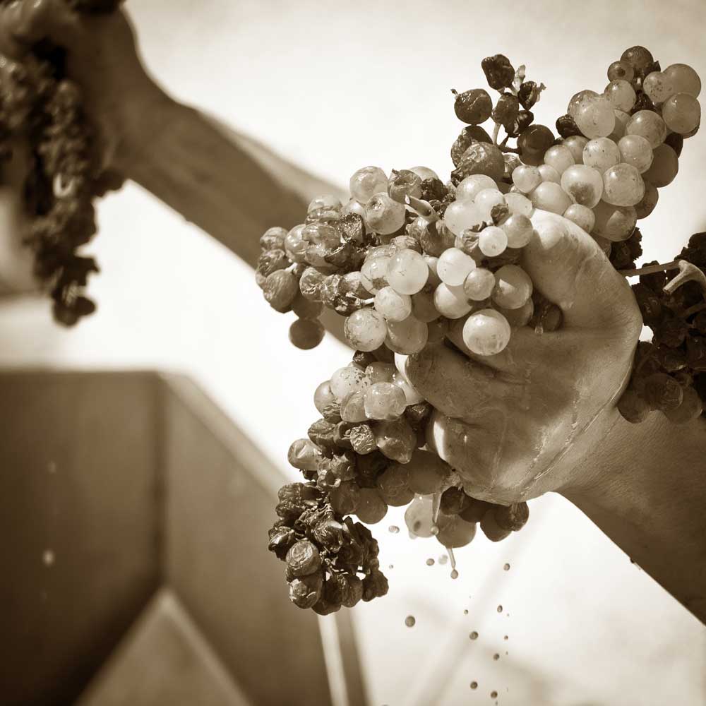 Tenute Dettori Winery