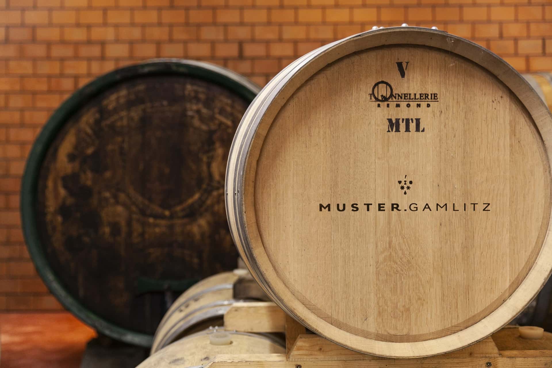Degustazione di vini e visita alla Weingut Muster Gamlitz