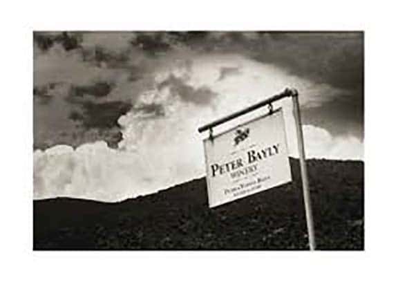 Peter Bayly Wines