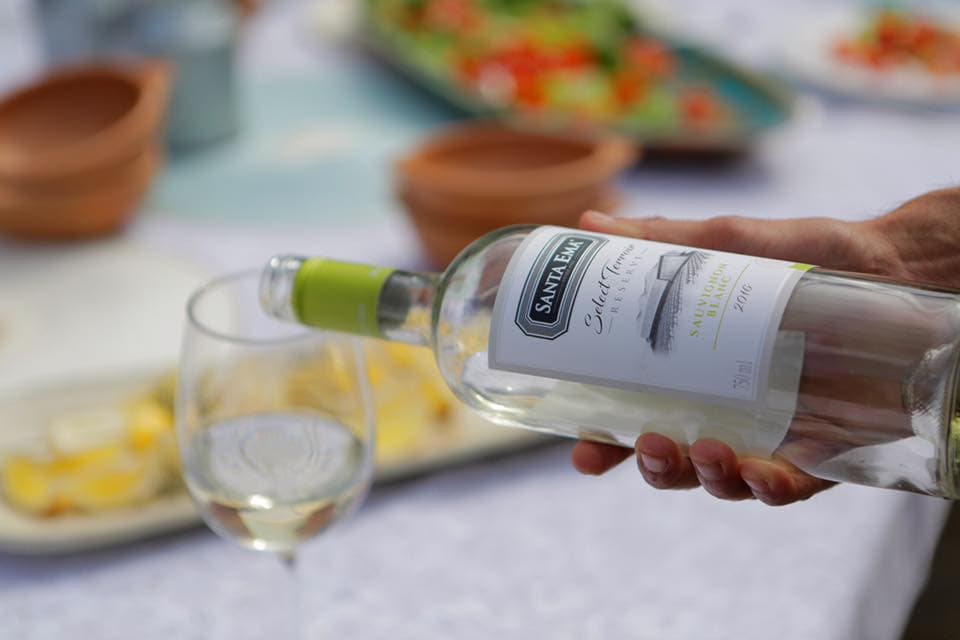 Weinprobe und Tour in Santa Ema