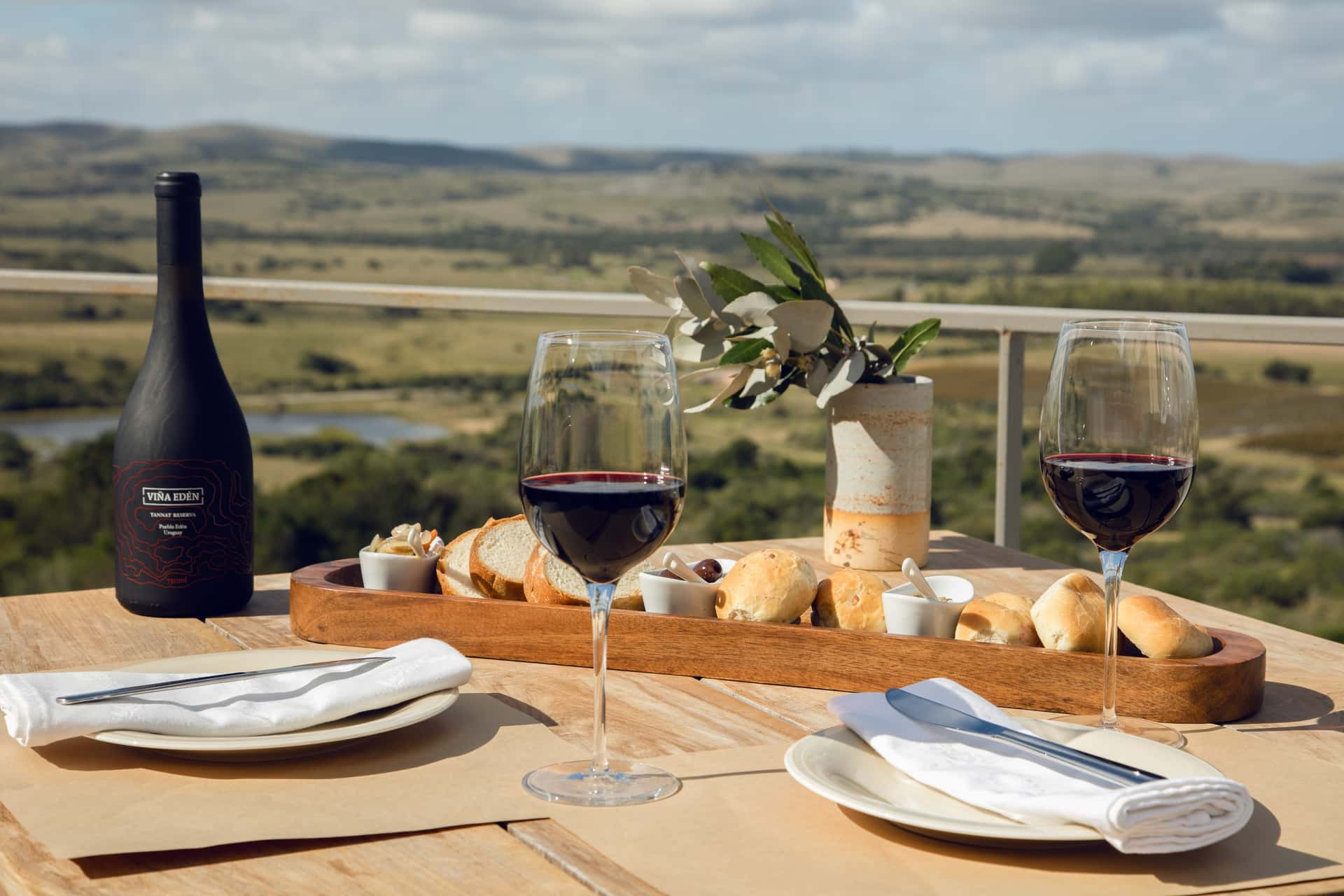 Premium-Weinprobe und Tour bei Viña Edén