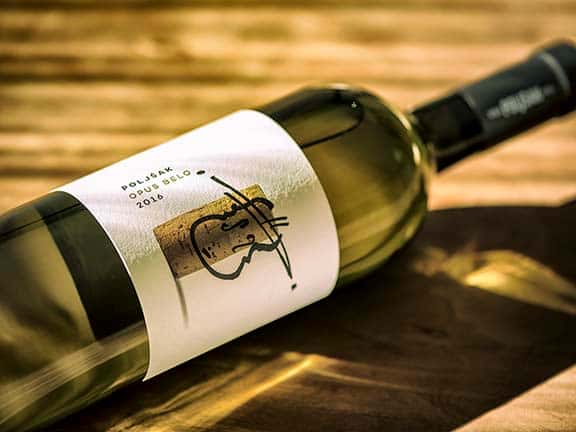 Dégustation de vins et visite à Vina Poljšak