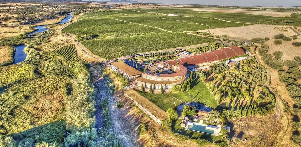 Pago Del Vicario Winery
