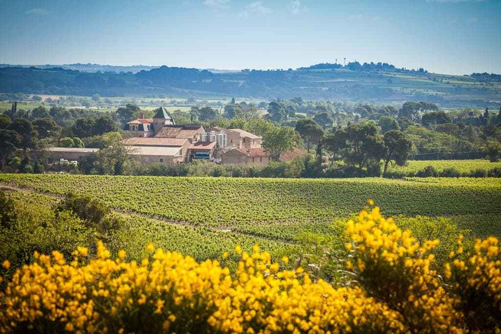Domaine La Provenquière photo 3