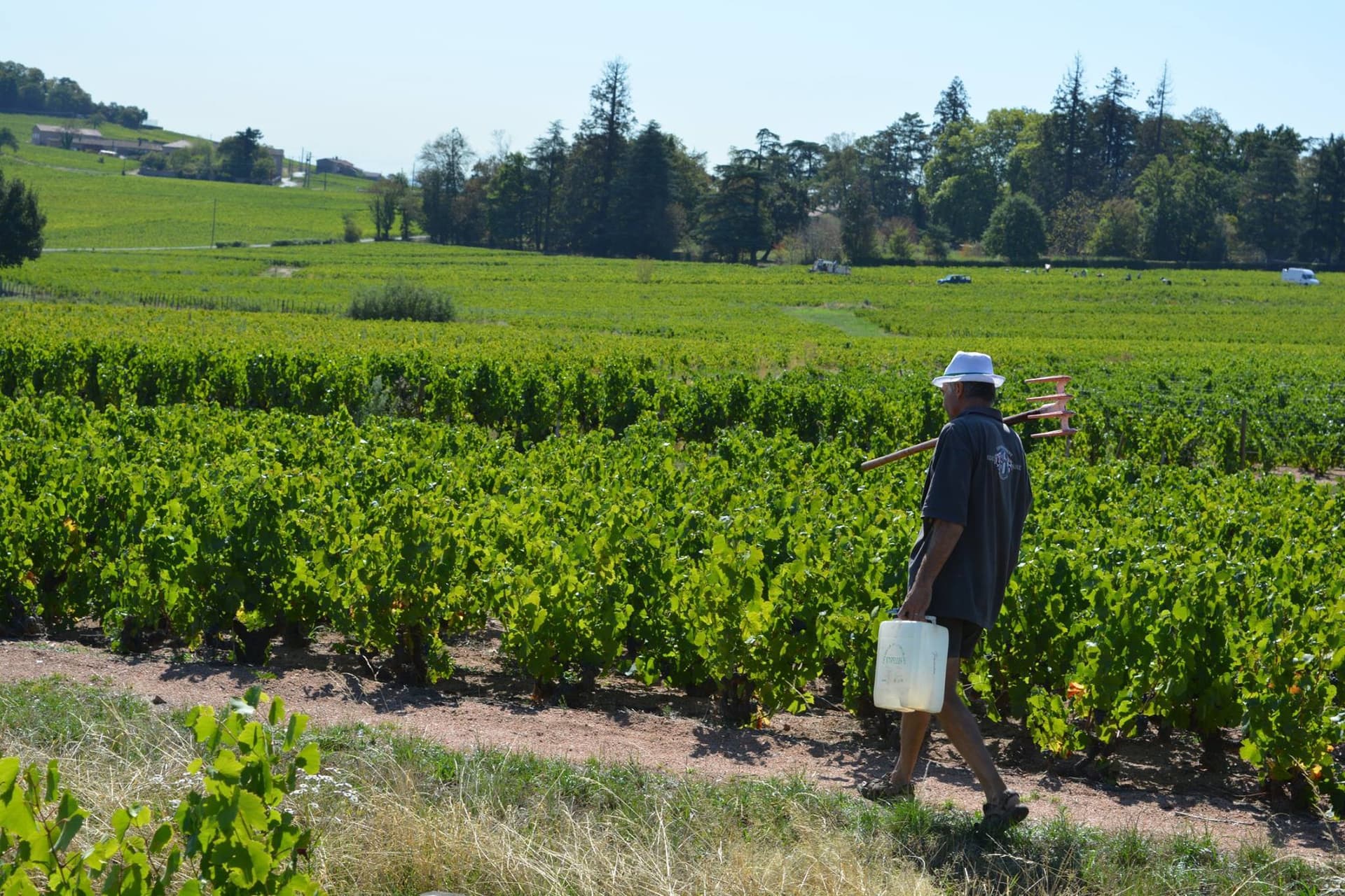Domaine du Tane photo 4