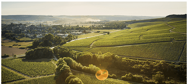 Domaine Céline & Frédéric Gueguen foto 2