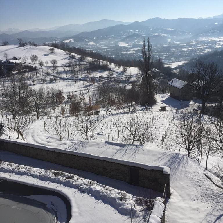 Castello di Grillano Winery photo 3