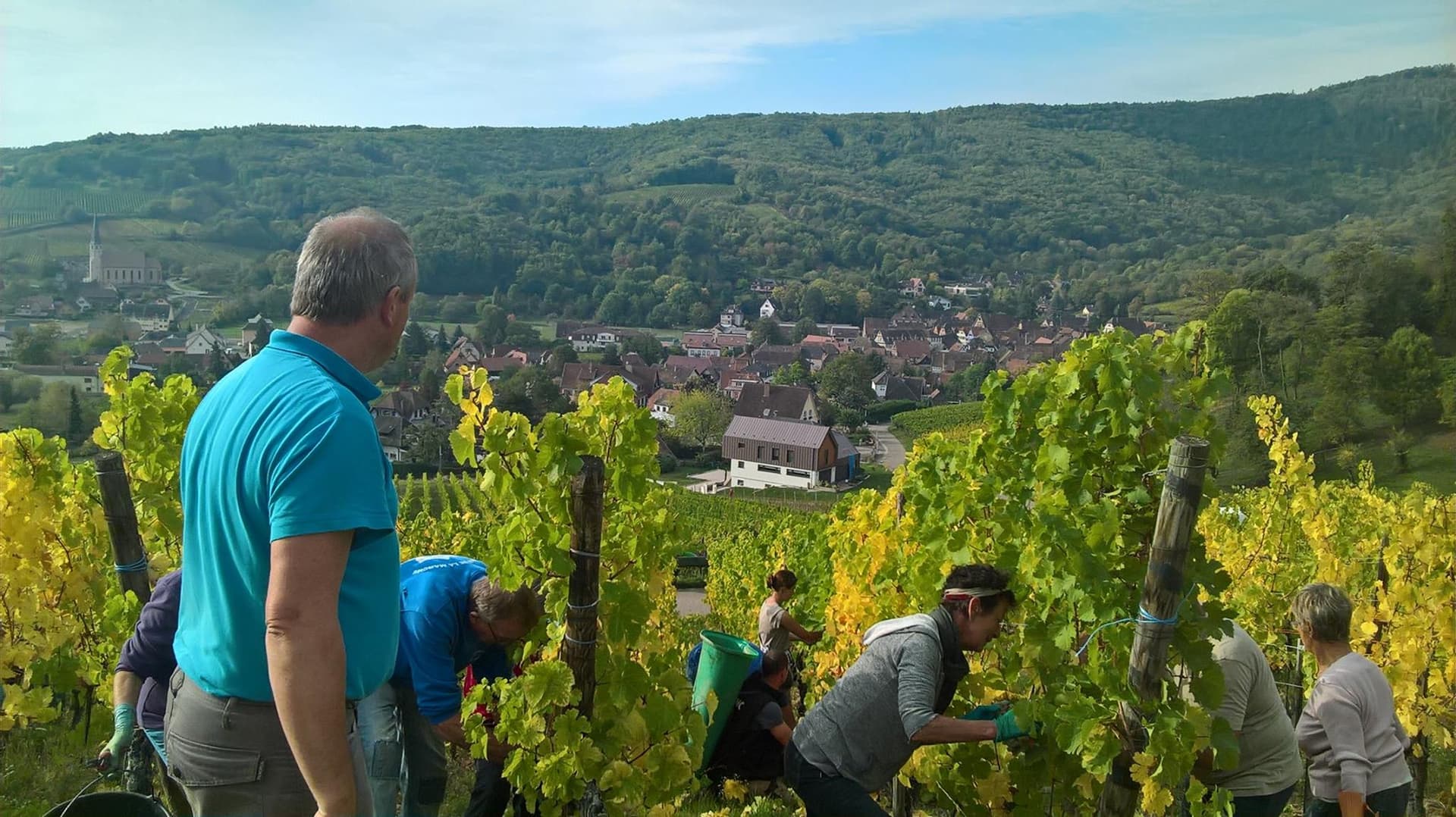 Jean Wach & Fils: A Hidden Gem in Alsace foto 5