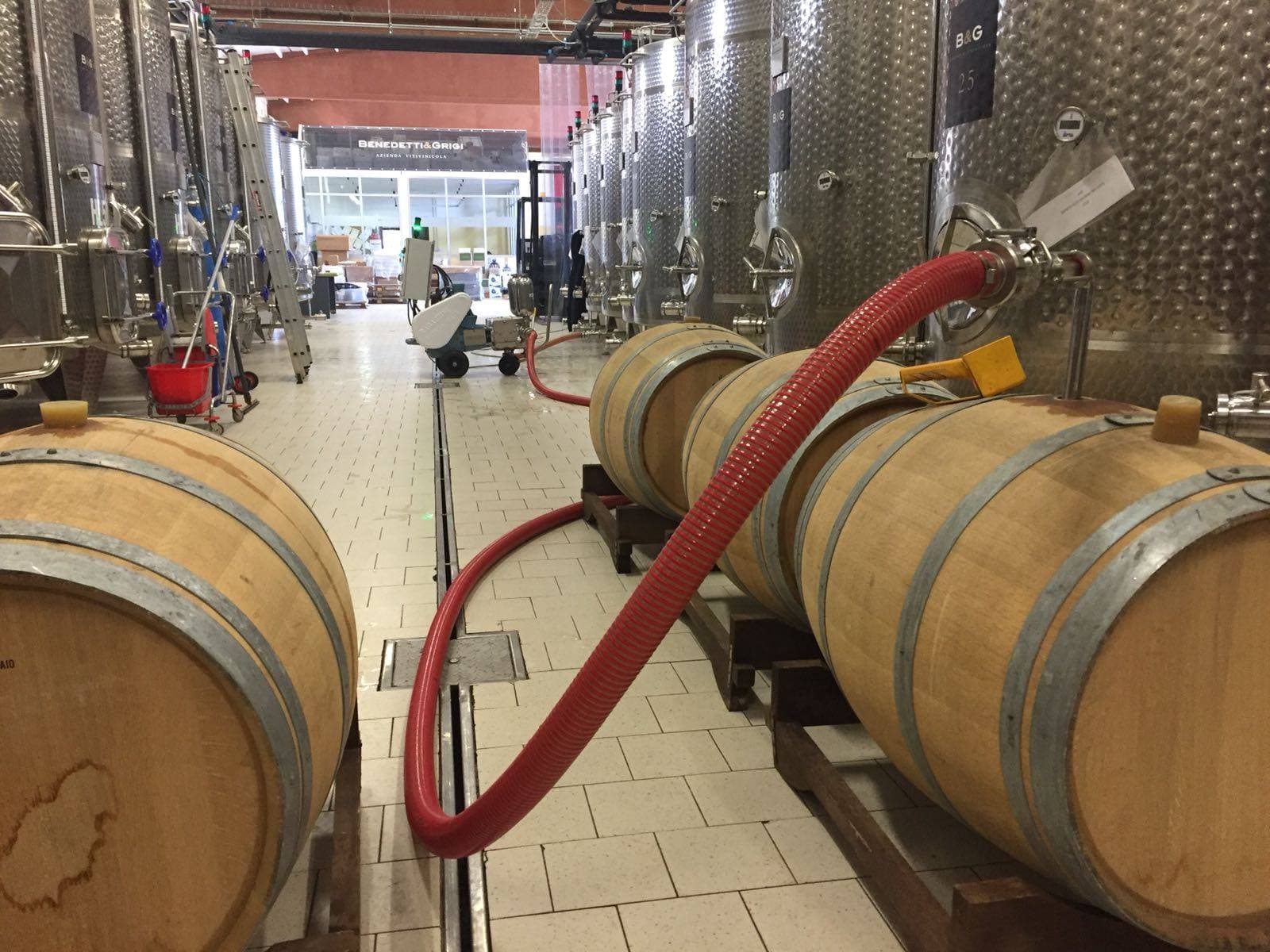 Cantina Benedetti & Grigi Foto 5