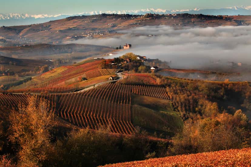 Barolo appellation