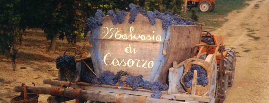 Cantina di Casorzo Winery photo 3