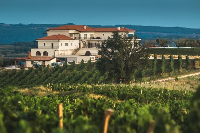 Weingut Cattunar Nssthw
