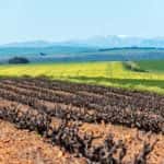 Darling appellation