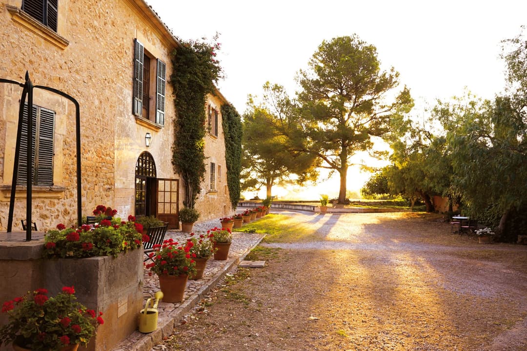 Oliver Moragues - Winery