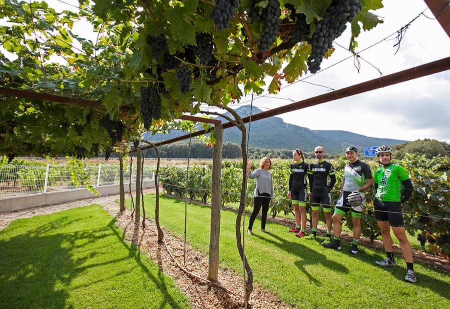 Eine Gruppe von Radfahrern besucht den Weinberg von Pago De Larrainzar