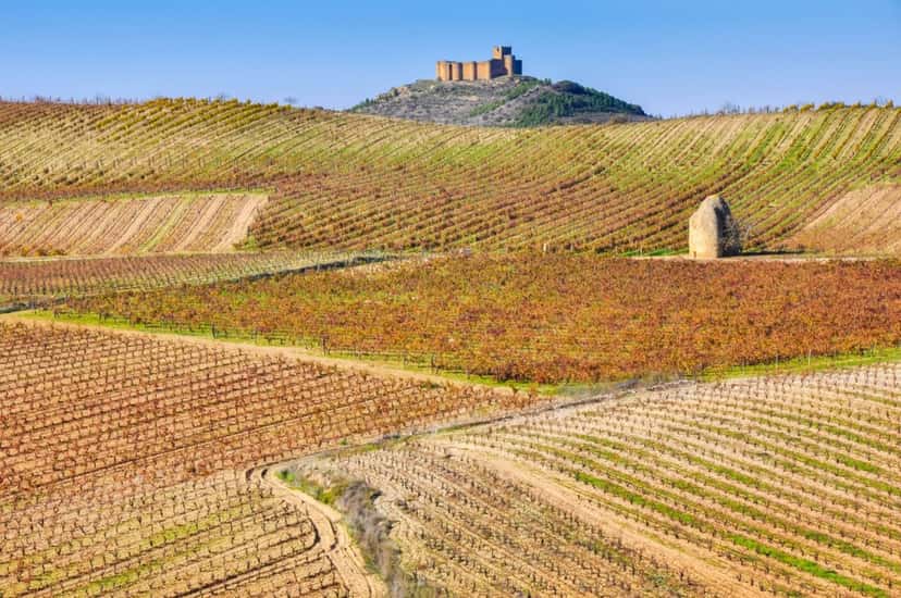 Rioja Alavesa appellation