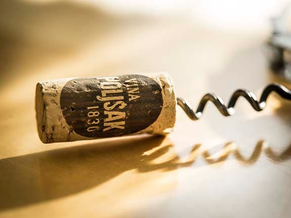 Vina Poljšak Winery foto 4