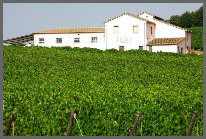 Azienda Agricola Ciucci photo 3