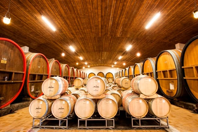 Baden's Finest: Affentaler Wine & Flavor Journey