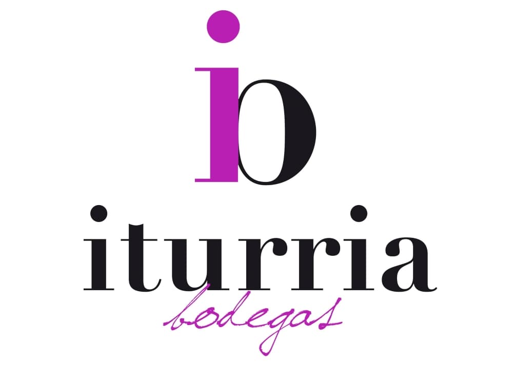 Bodegas Iturria: A Hidden Gem in Castilla y León photo 4