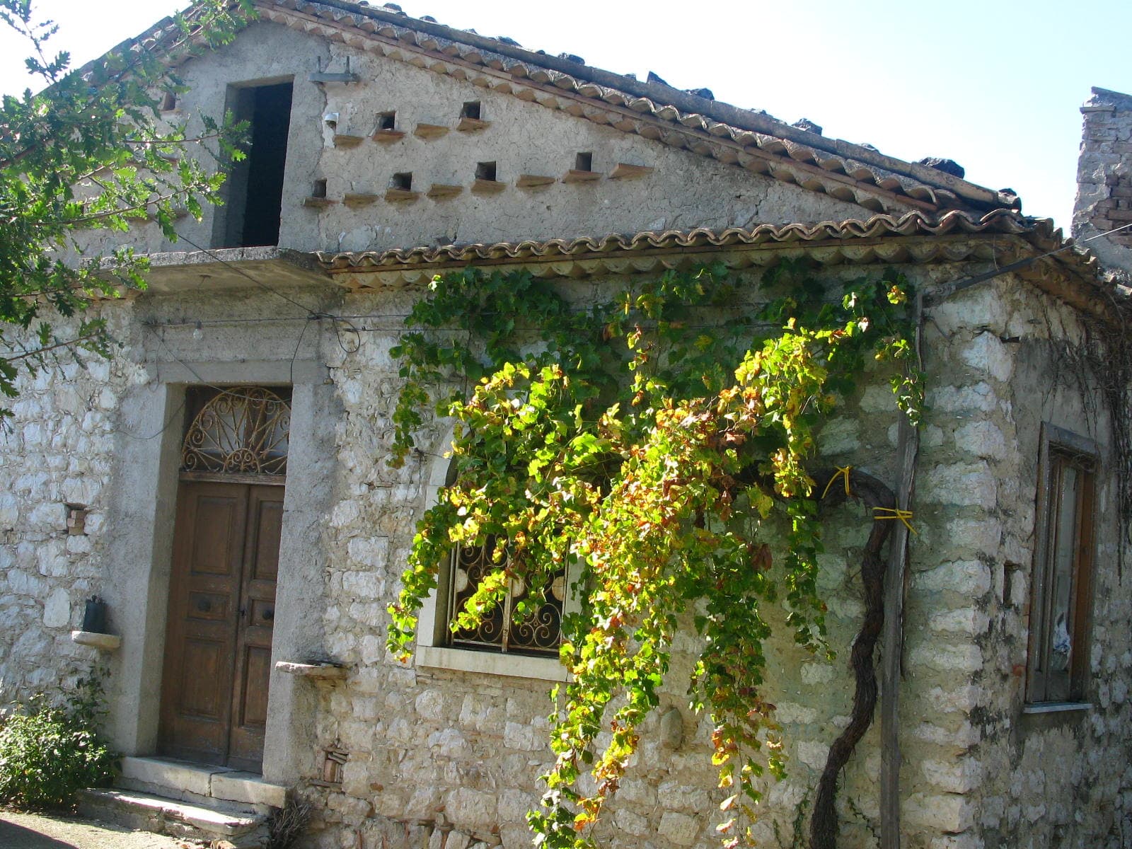 Stefania Barbot Winery foto 3
