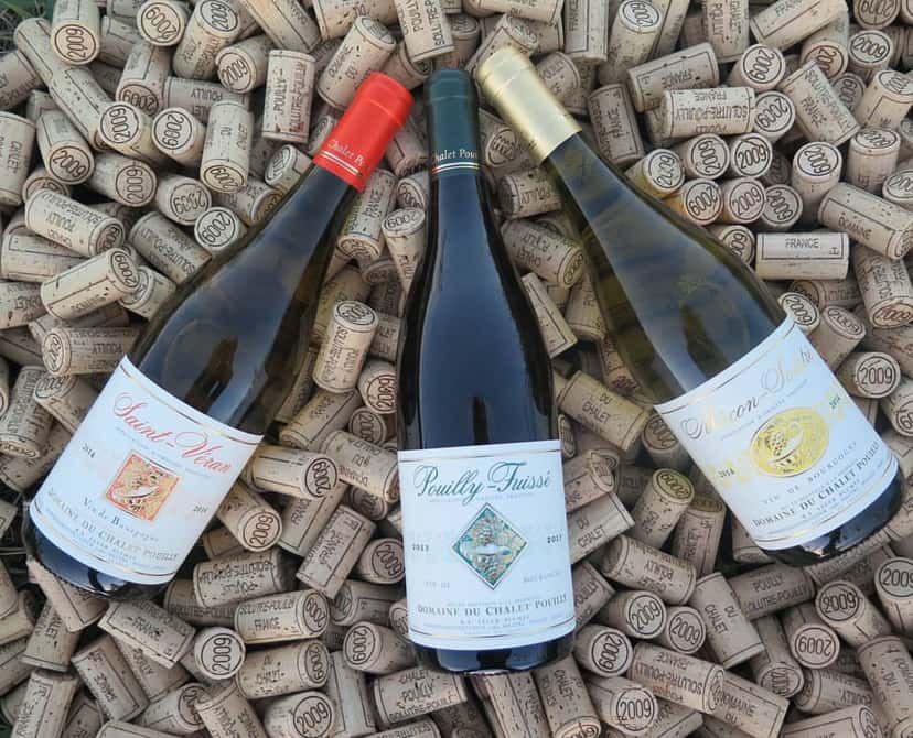 Degustazione di vini e visita al Domaine du Chalet Pouilly