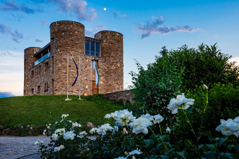 Chateau Copsa Winery photo 2