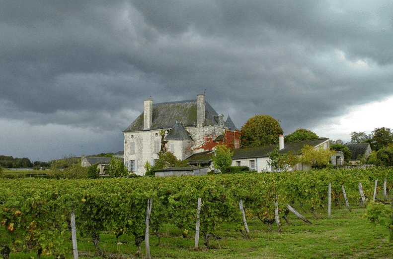 Château de Chaintres foto 3
