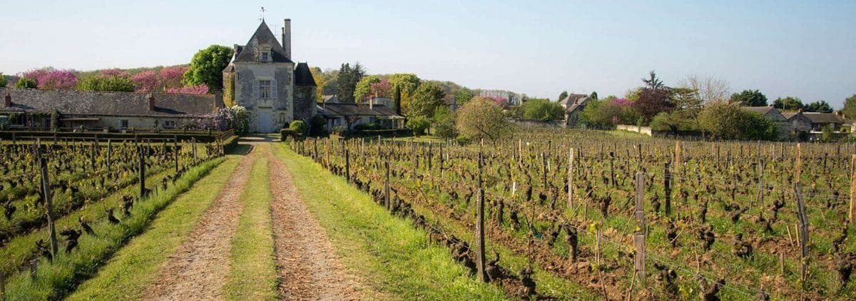 Château de Chaintres foto 4