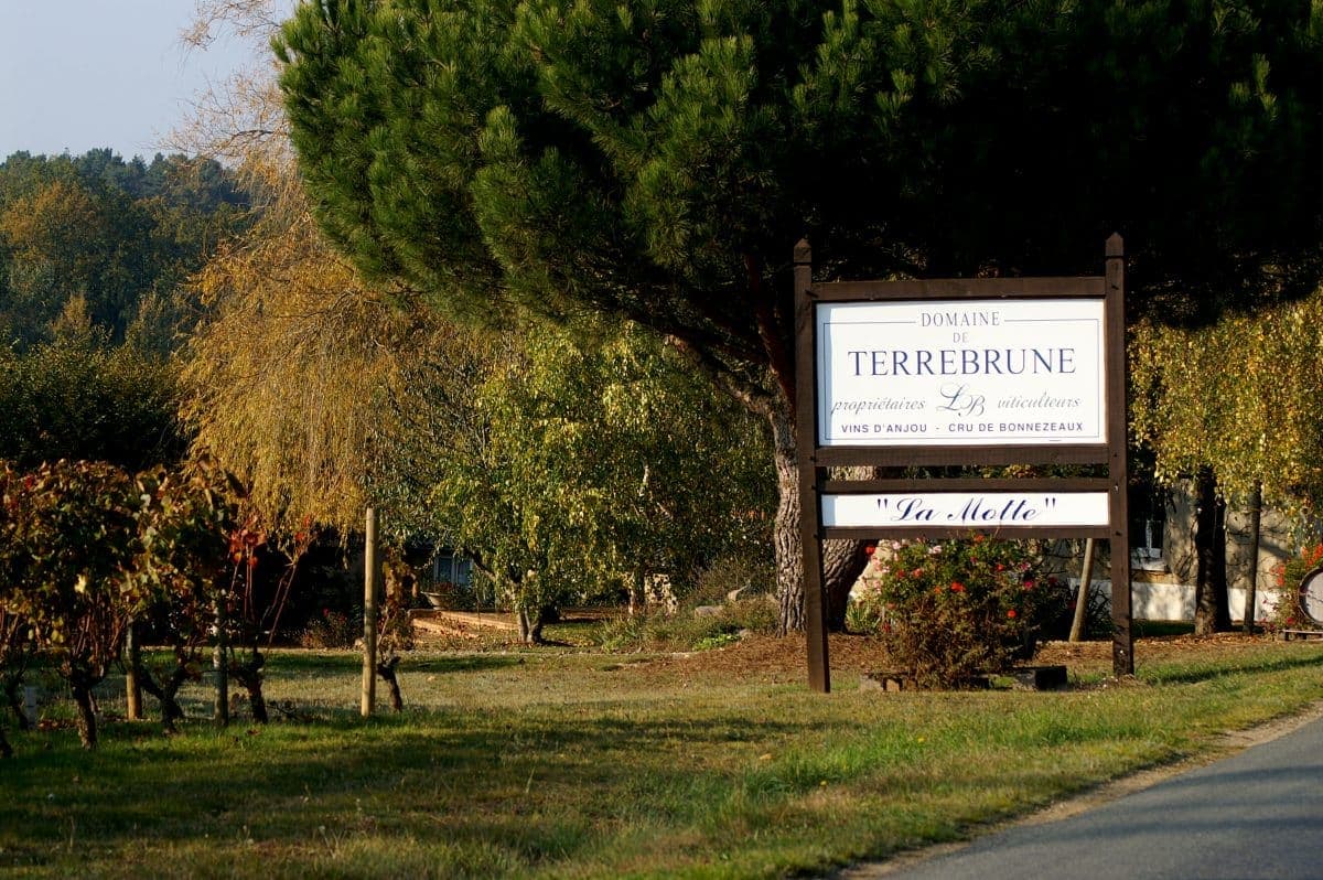 Domaine de Terrebrune photo 2