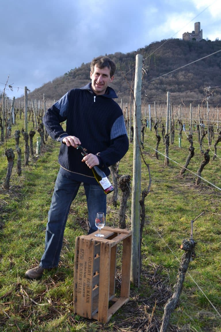 Alsace Gilbert Ruhlmann Fils Winery foto 5
